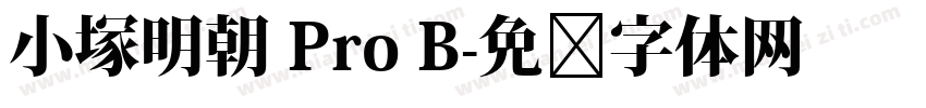 小塚明朝 Pro B字体转换